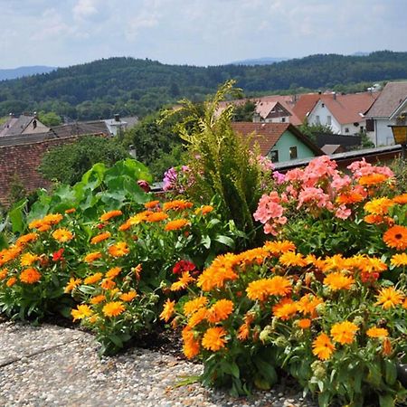 Gasthof Adler Guettingen Guttingen Экстерьер фото